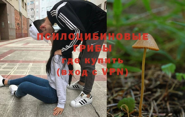 винт Арсеньев