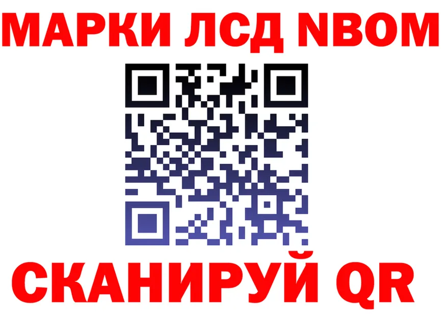 Alfa_PVP СК КРИС вход площадка mega Белоусово