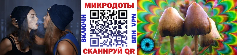 Псилоцибиновые грибы Magic Shrooms Белоусово