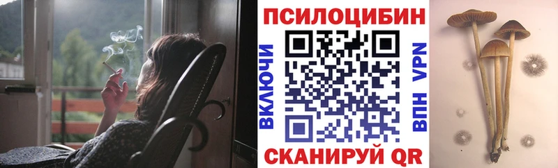 Псилоцибиновые грибы GOLDEN TEACHER  Купить где  Белоусово 
